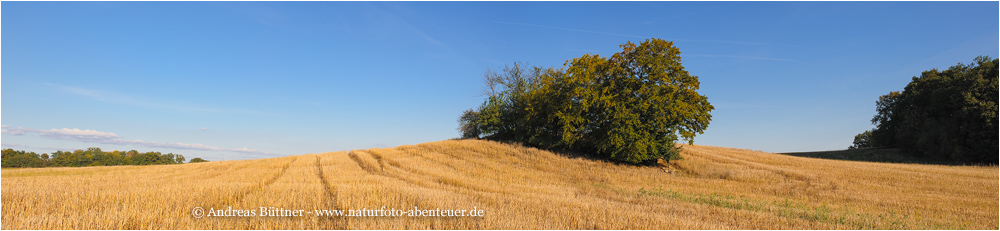 Der Herbst naht...