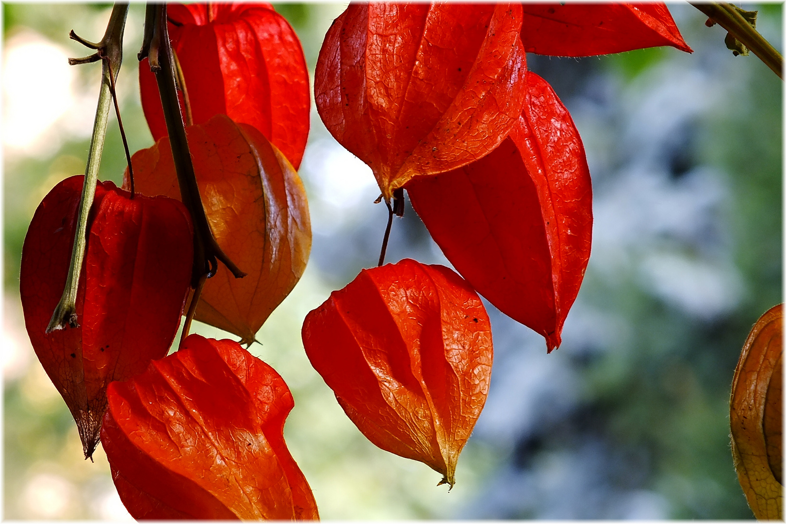 Der Herbst naht..........