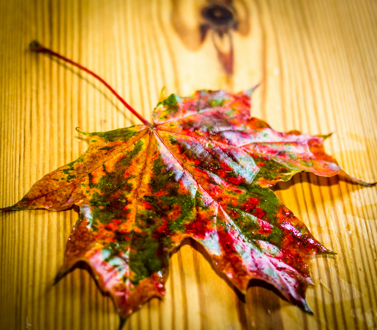 Der Herbst naht