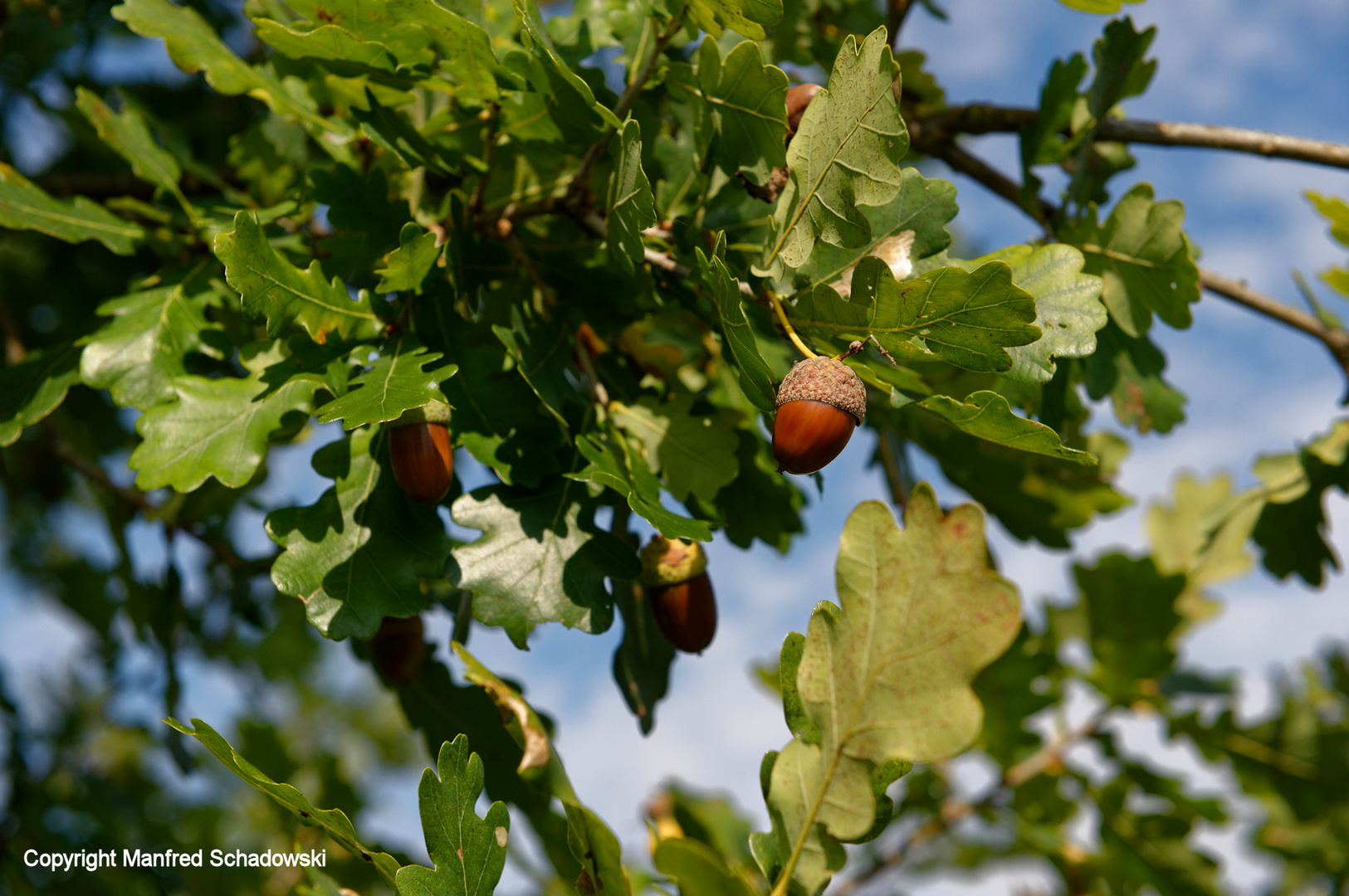 Der Herbst naht