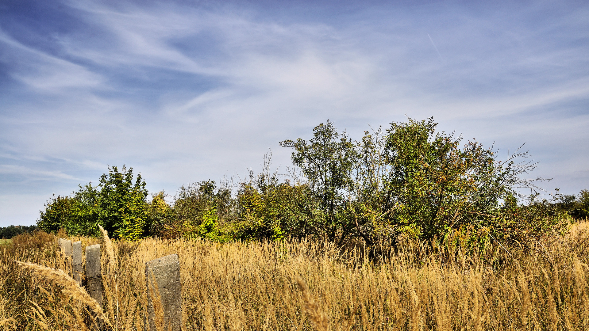 Der Herbst naht.....