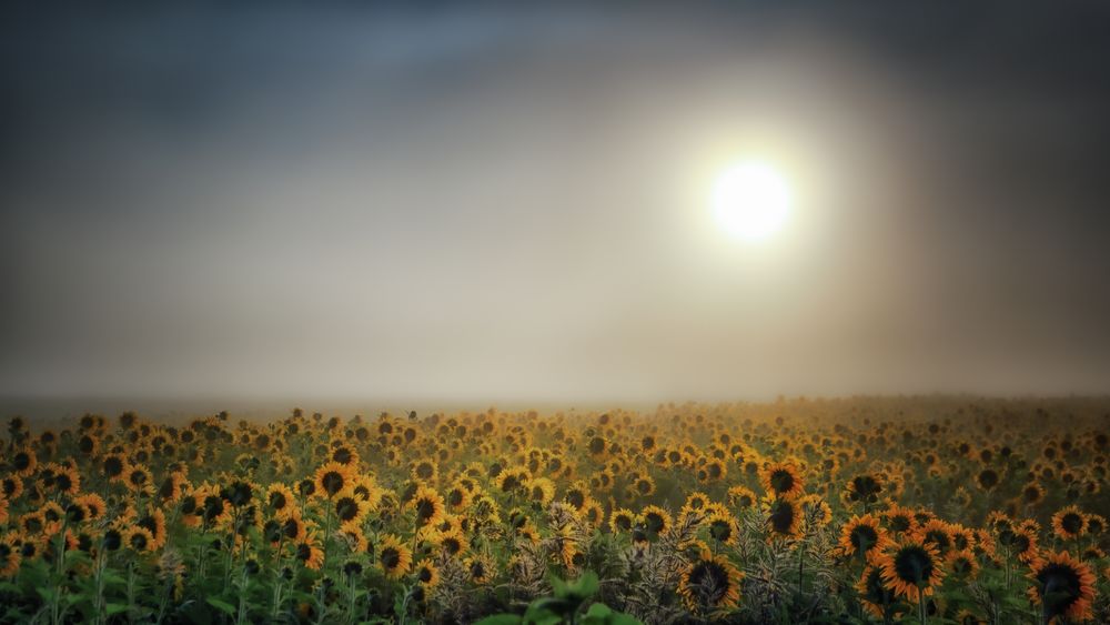 Der Herbst naht mit großen Schritten