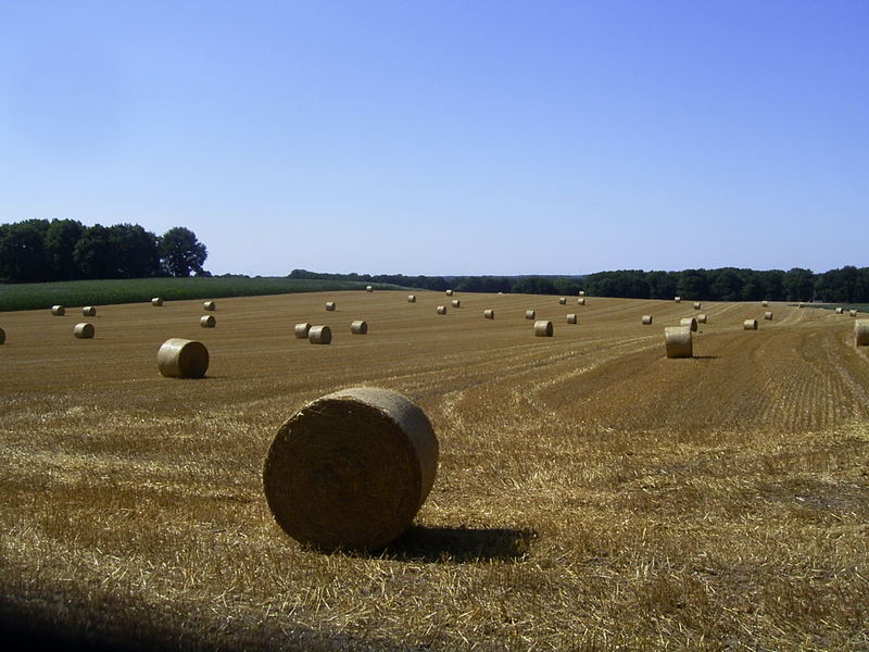 Der Herbst naht schon wieder