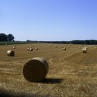 Der Herbst naht schon wieder