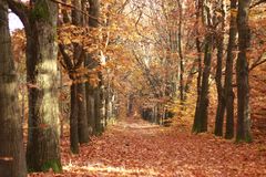 Der Herbst neigt sich seinem Ende zu.