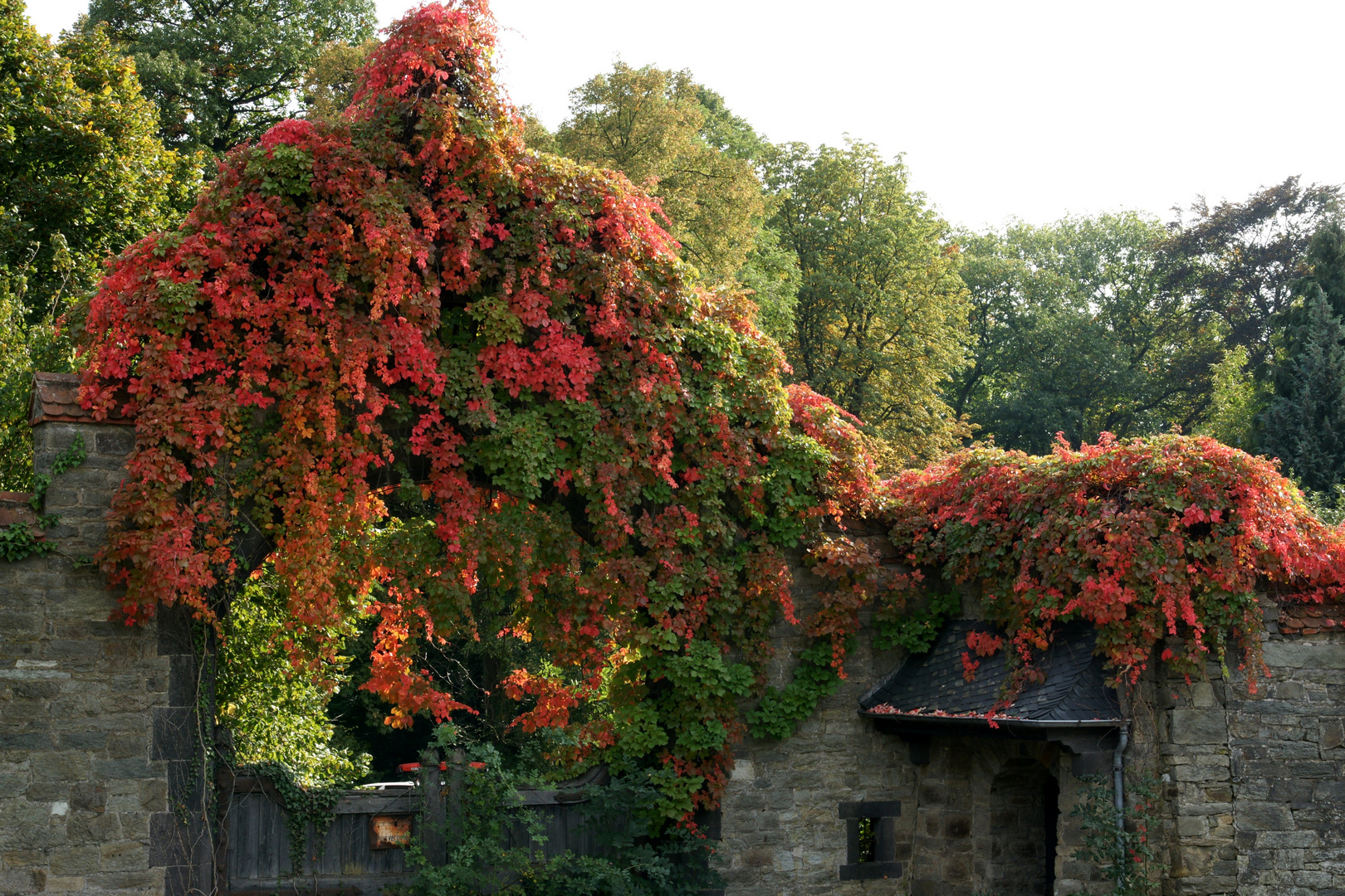 Der Herbst öffnet seine Pforten zum heutigen Beginn!