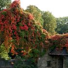 Der Herbst öffnet seine Pforten zum heutigen Beginn!