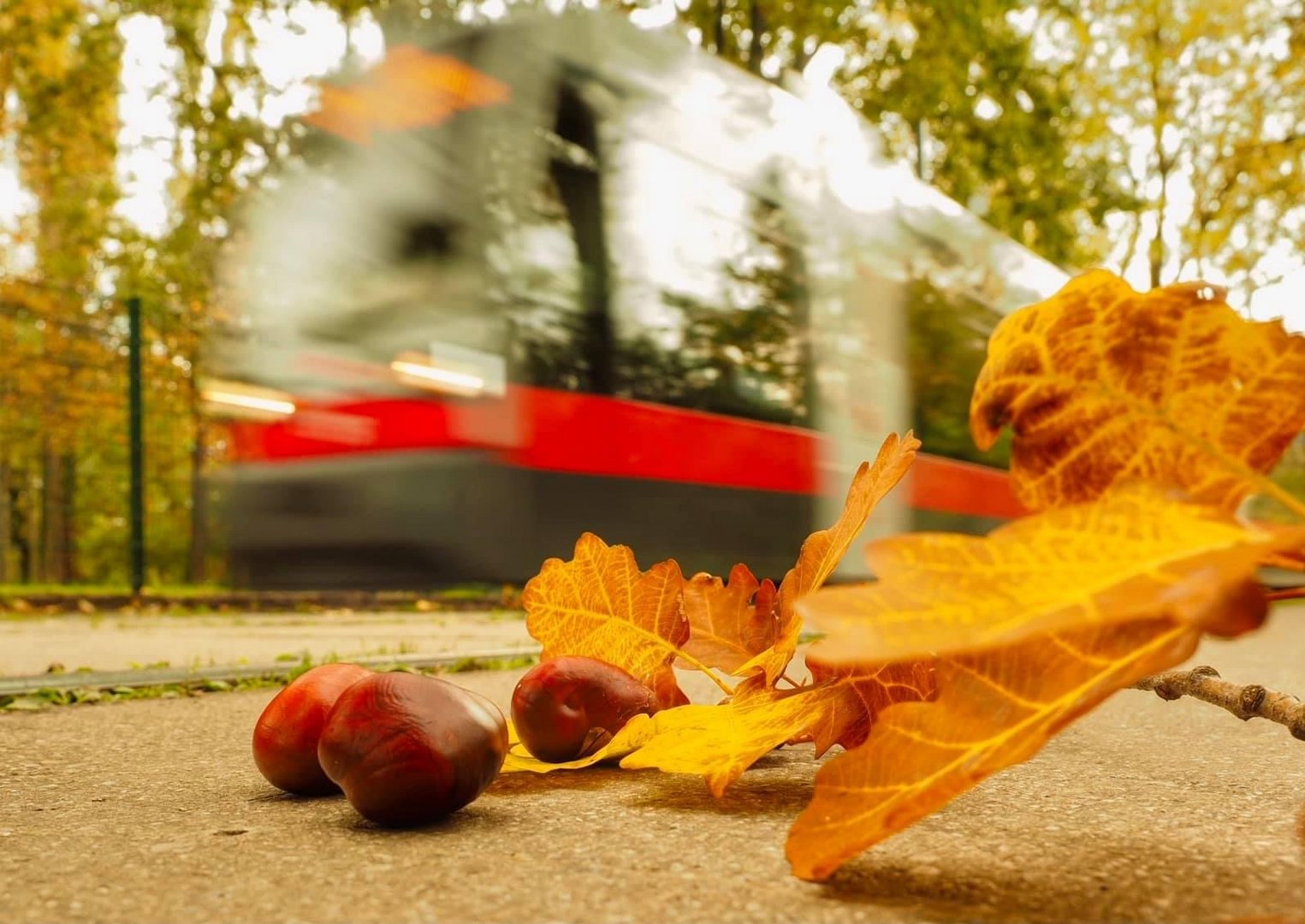 der Herbst rauscht heran