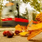 der Herbst rauscht heran