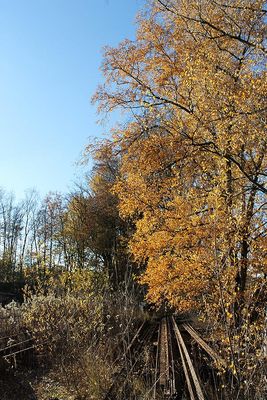 Der Herbst regiert die Industrie