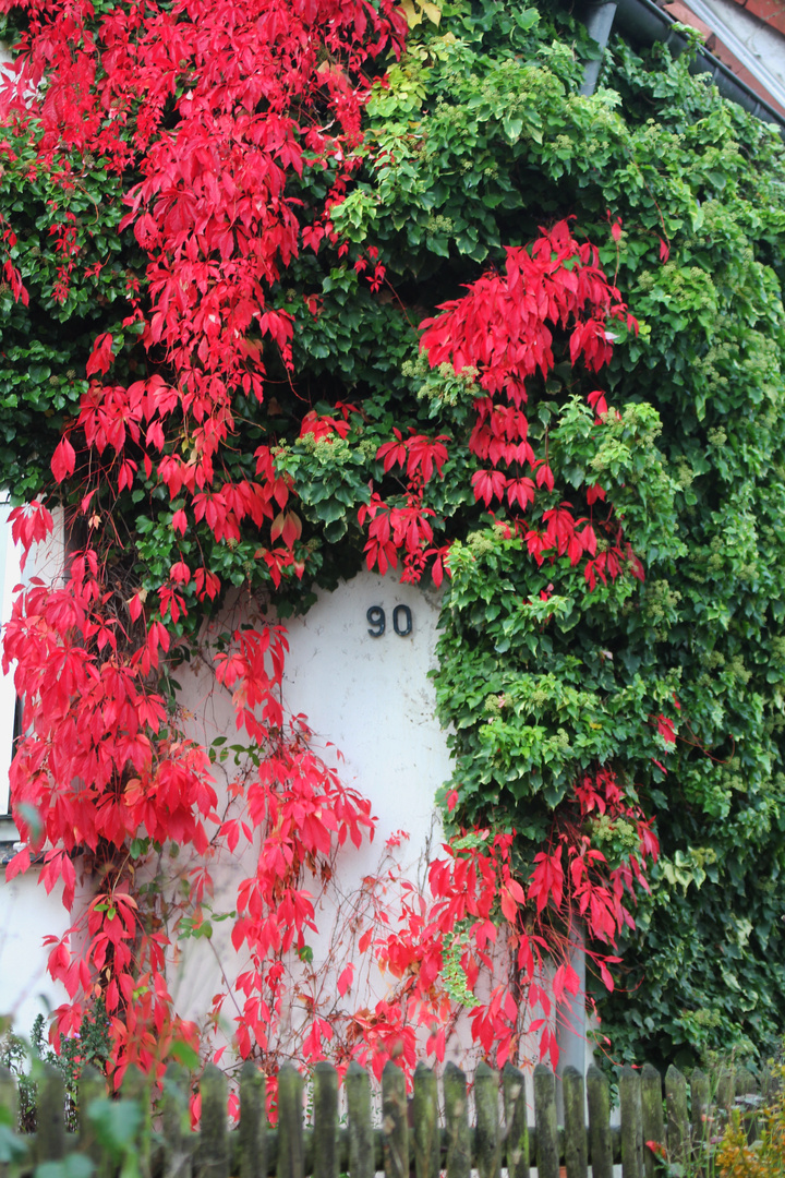 Der Herbst richtet sich häuslich ein....