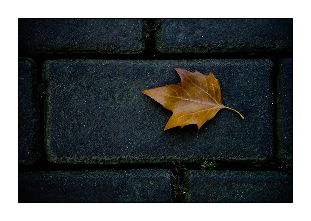 Der Herbst rückt immer näher