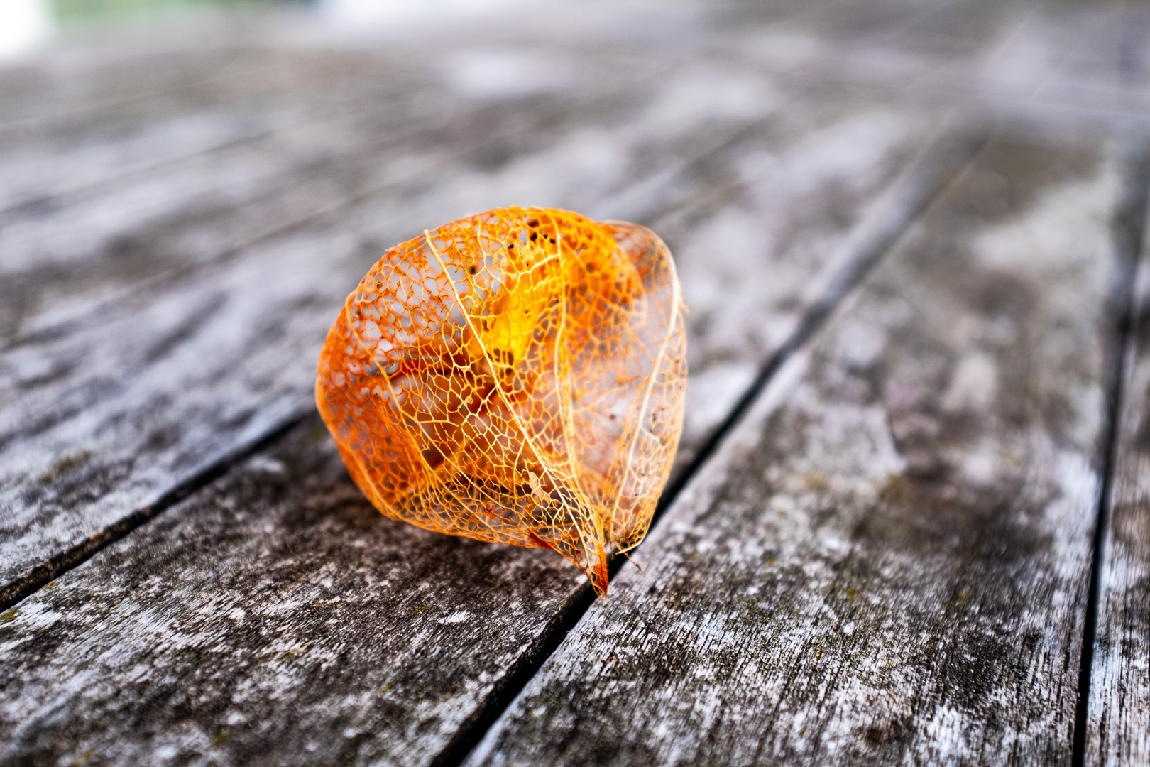 Der Herbst rückt näher