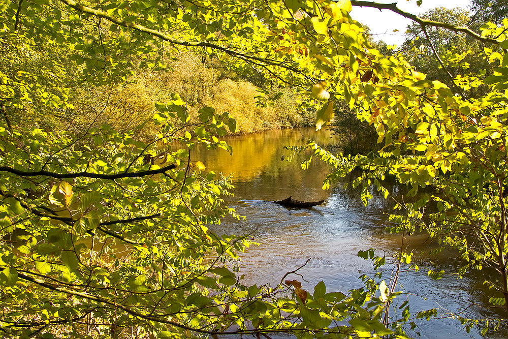 Der Herbst rührt in seinem Tuschkasten