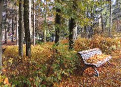 der Herbst ruht sich aus ...er liegt auf der Bank