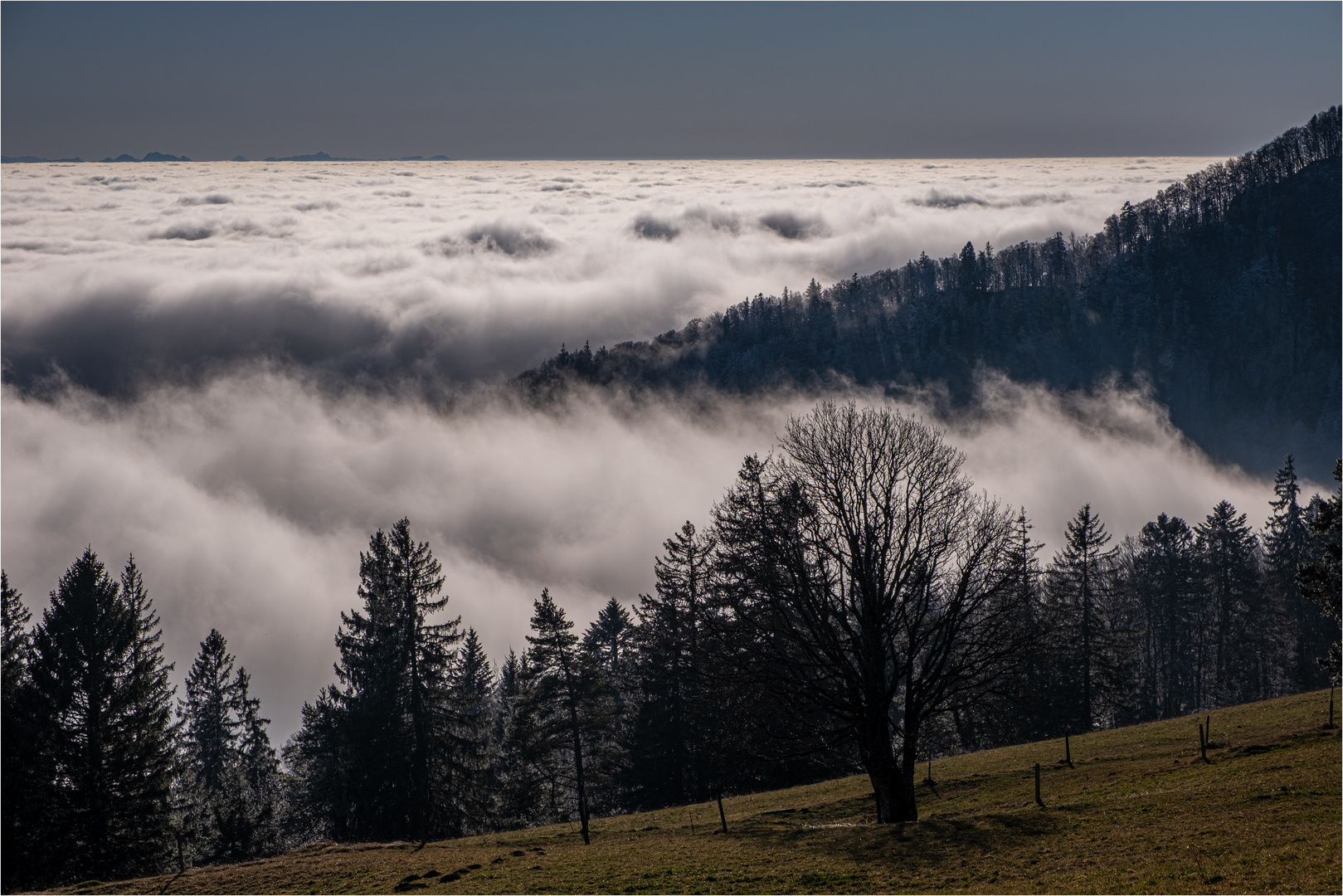 DER HERBST SAGT ADIEU