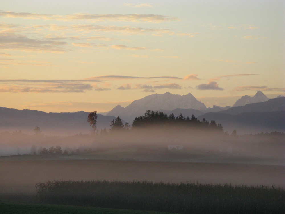 der herbst schichtet den nebel...