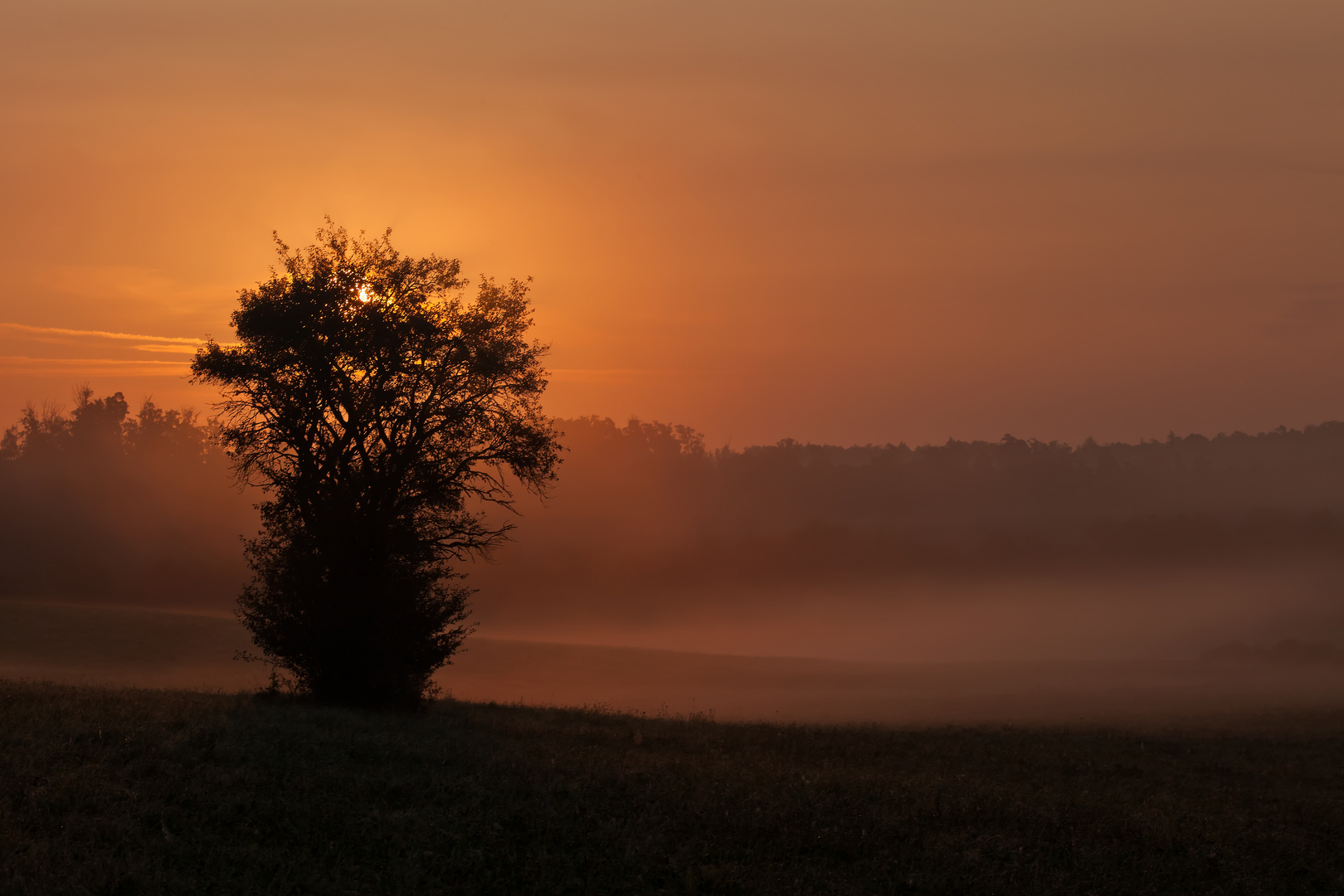 Der Herbst schleicht sich an