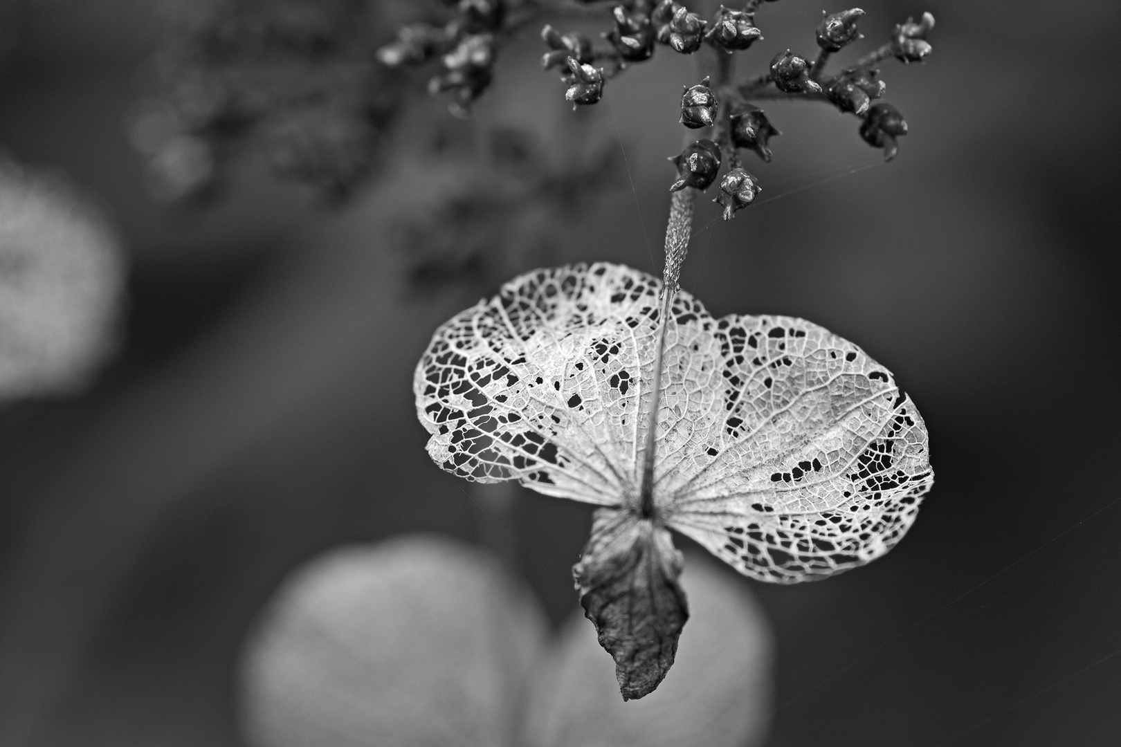 Der Herbst schreitet voran