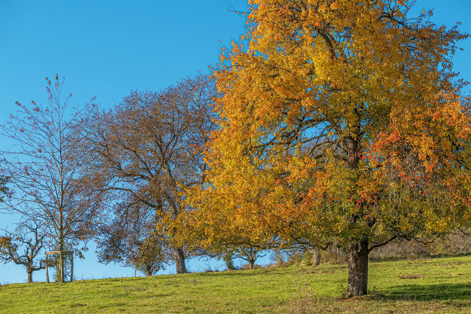 Der Herbst schreitet voran!