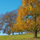 Der Herbst schreitet voran!