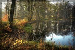 Der Herbst See  (1)