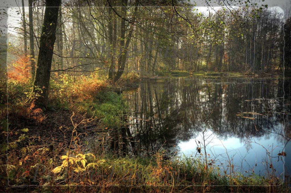 Der Herbst See (Action)
