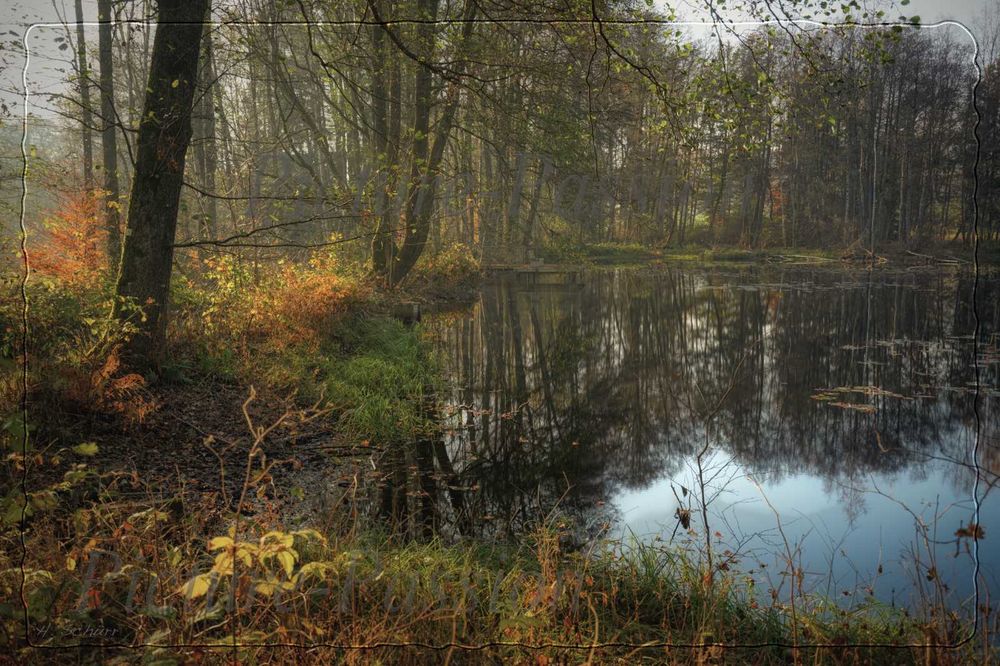 "Der Herbst See"  (Gemälde)