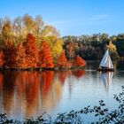 Der Herbst-Segler