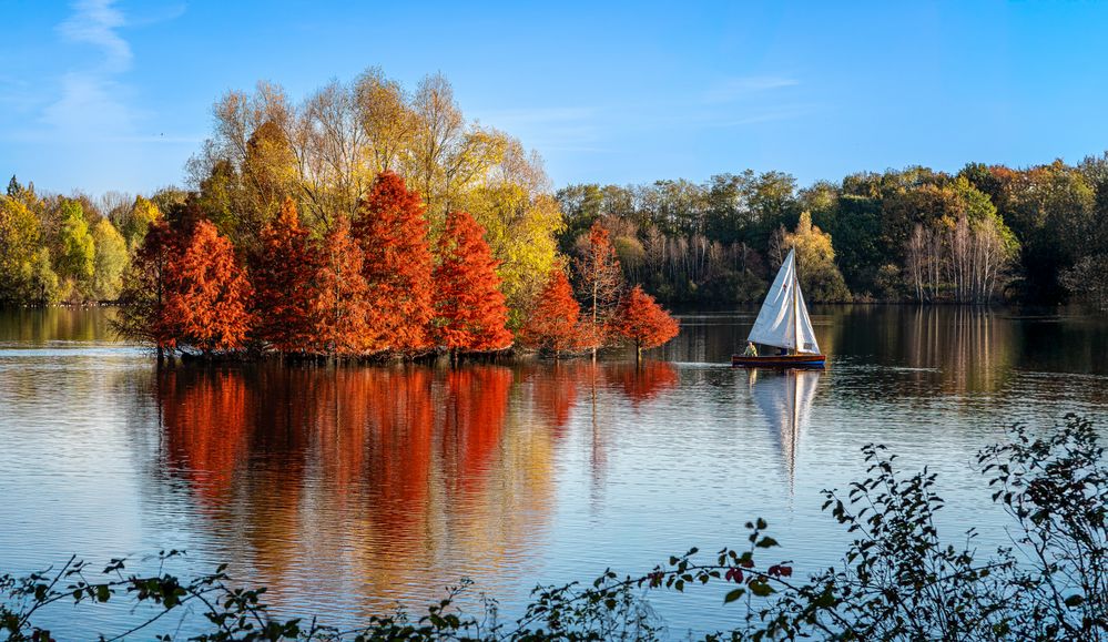 Der Herbst-Segler
