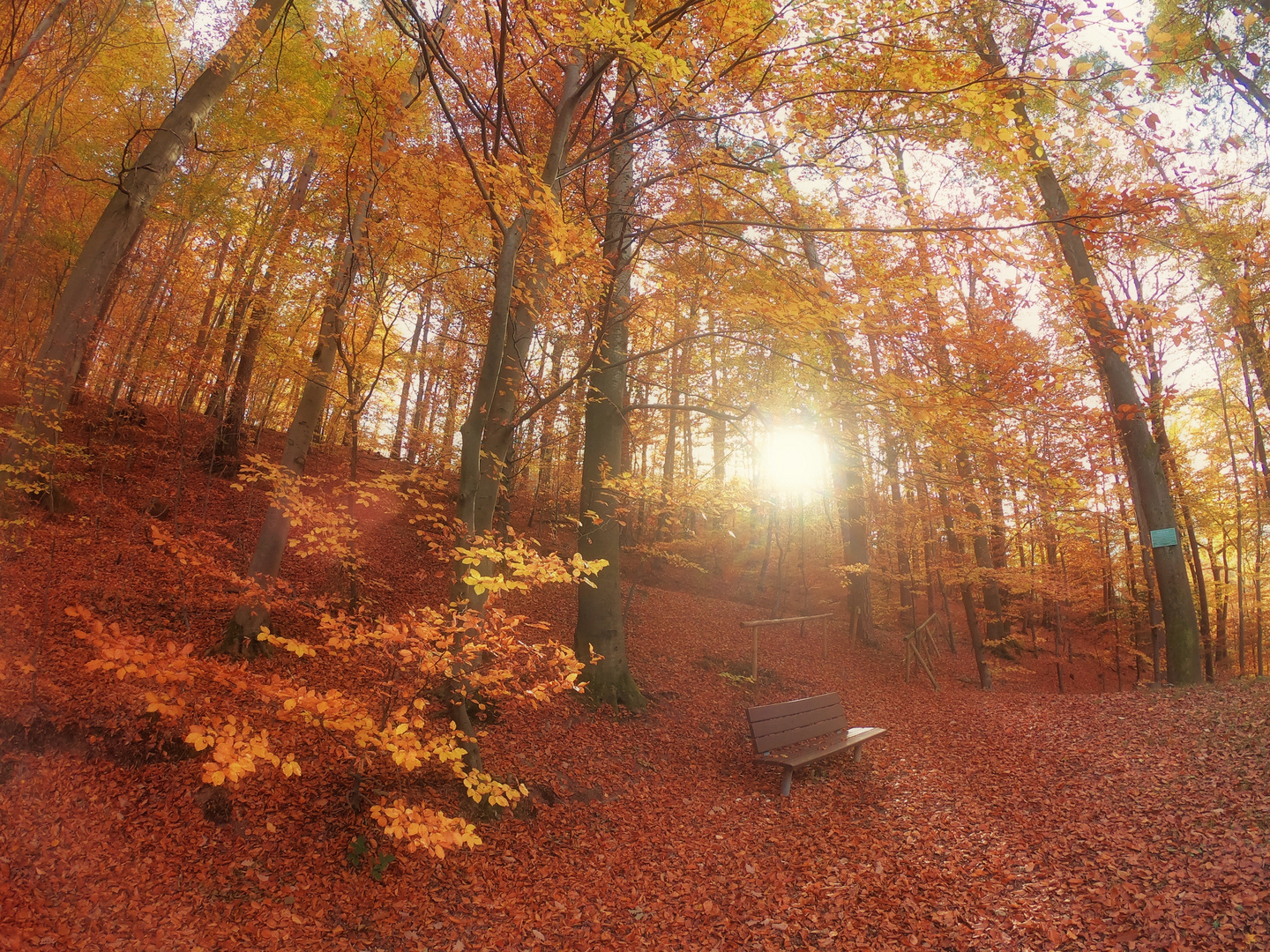 Der Herbst seiner Bank