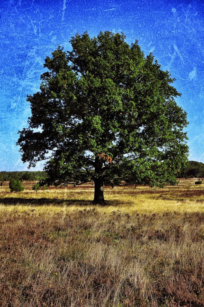 der herbst setzt ein zeichen