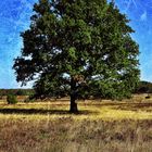 der herbst setzt ein zeichen