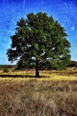 der herbst setzt ein zeichen