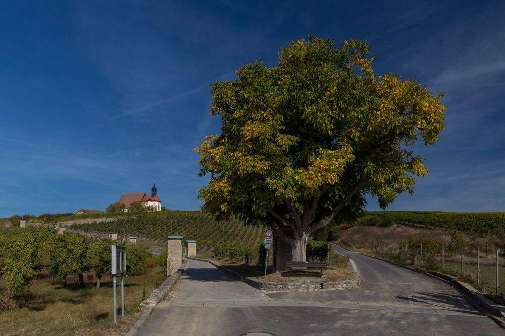 Der Herbst setzt sich durch