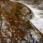 Der Herbst spiegelt sich im Wasserfall