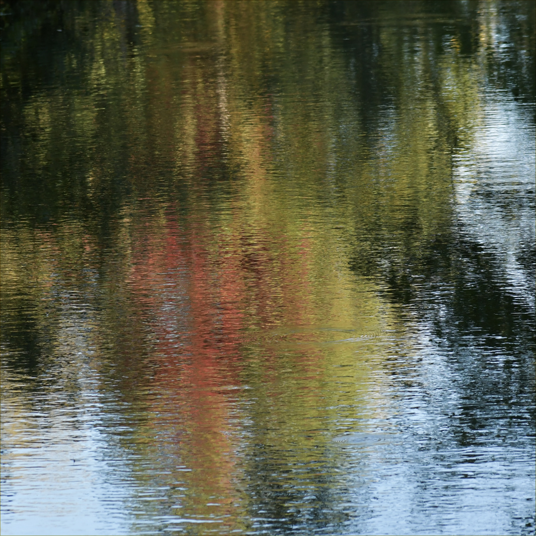 Der Herbst spiegelt sich in den schönsten Farben