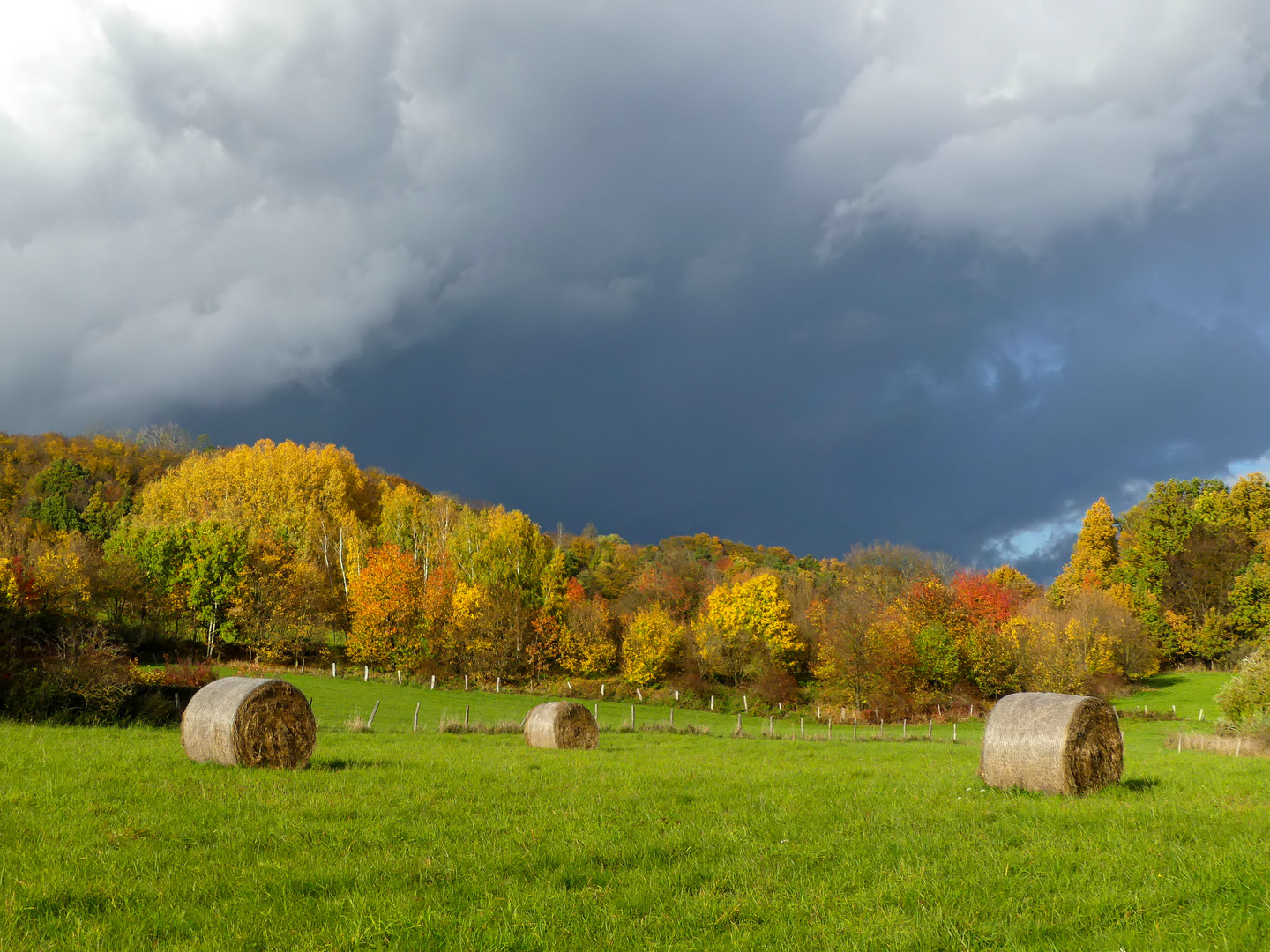 Der Herbst spielt die Hauptrolle