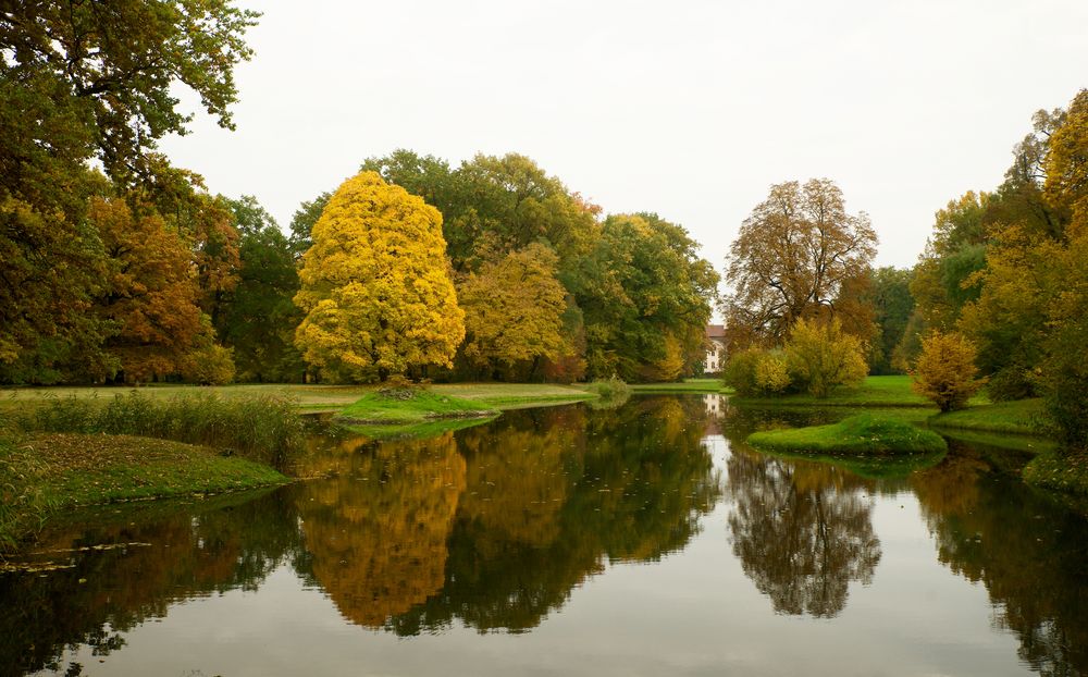 ... der Herbst stand auf der Leiter