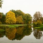 ... der Herbst stand auf der Leiter