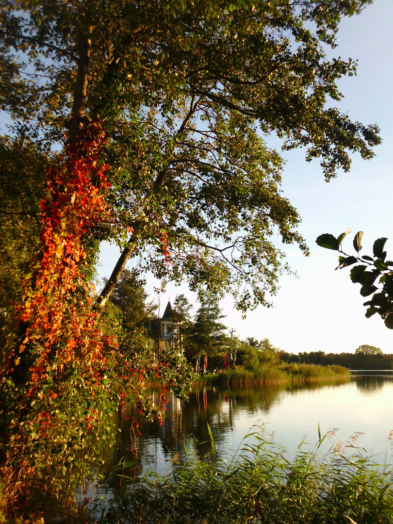 Der Herbst steht auf der Leiter ...