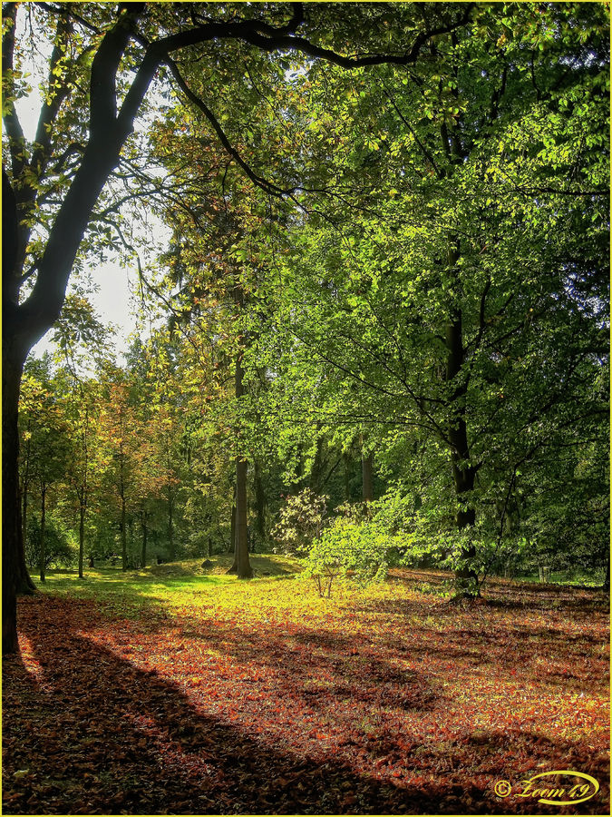 Der Herbst steht auf der Leiter...