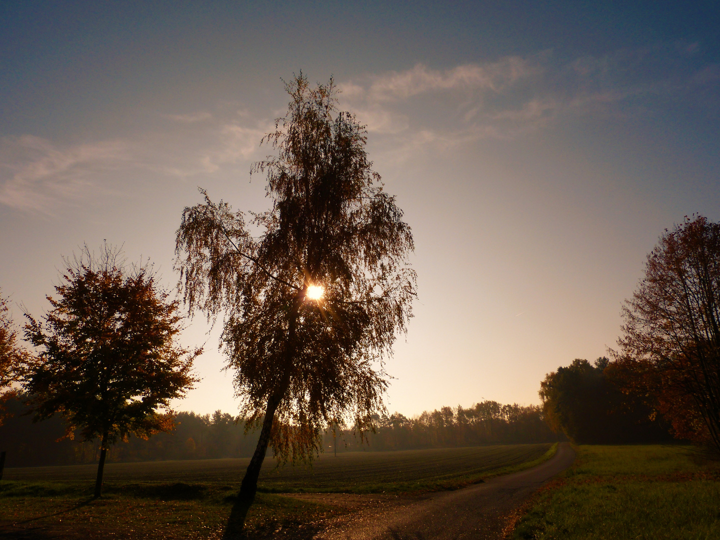 Der Herbst steht auf der Leiter ....