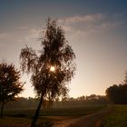 Der Herbst steht auf der Leiter ....