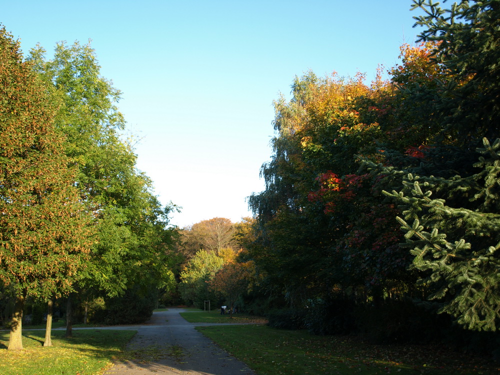 Der Herbst steht auf der Leiter ..