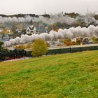 Der Herbst steht auf der Leiter ...