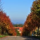 Der Herbst steht auf der Leiter ....