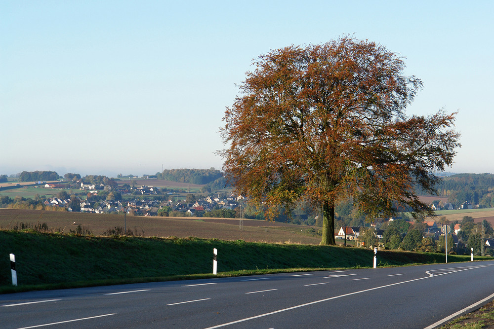 Der Herbst steht auf der Leiter.........