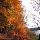 "Der Herbst steht auf der Leiter ...."