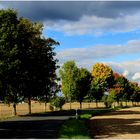 Der Herbst steht auf der Leiter,...